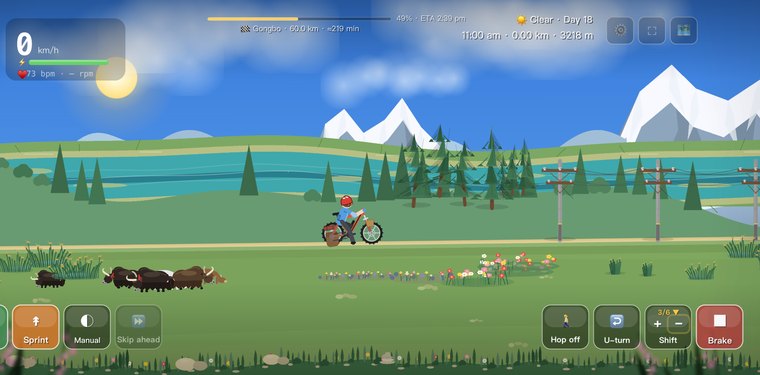 Bahe — Cycling 318