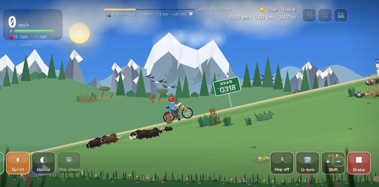 Nine Bends, Eighteen Turns — Cycling 318